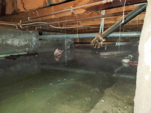 24/7 water damage repair in Little Walnut Village, NM