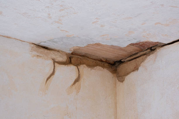 Best Emergency water damage restoration  in Little Walnut Village, NM