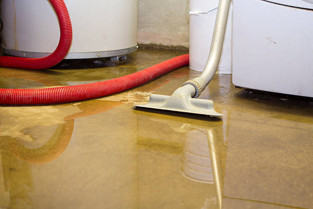 Best Water damage cleanup near me  in Little Walnut Village, NM