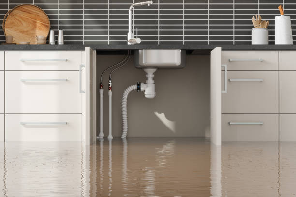  Little Walnut Village, NM Water damage restoration Pros